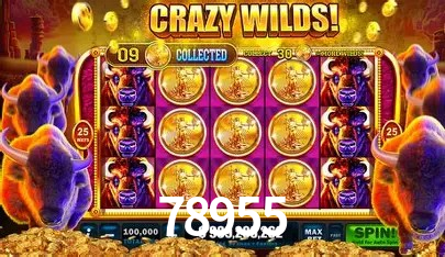 Ofertas Imperdíveis na 78955: Promoções e Bônus Que Valem a Pena